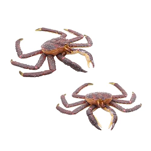 Vaguelly Simuliertes Krabben Modell Aus Lernspielzeug Dekoration Krebsform Robustes Für Ideal Als Für Kleine Entdecker von Vaguelly
