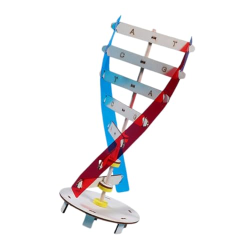 Vaguelly Wissenschaftliches DNA Modellspielzeug DIY Doppelhelix Holzspielzeug für Pädagogisches Lernspielzeug der Vaguelly Wissenschaftliches DNA Modellspielzeug DIY Doppelhelix Holzspielzeug für Pädagogisches Lernspielzeug der von Vaguelly