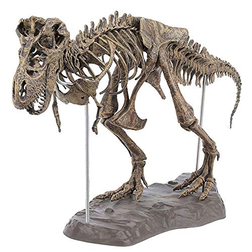 Venus valink Tyrannosaurus Rex Skelett Dinosaurier Tierdekoration Modell groß Dinosaurier Fossil Totenkopf Tier Modell Spielzeug Möbel Artikel Dekoration für Home Office Supplies von Valink