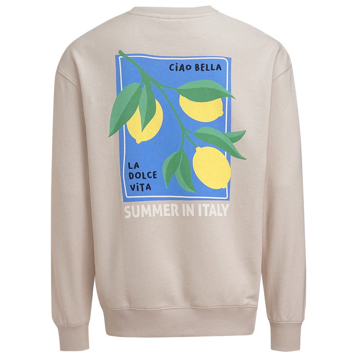 Herren Sweatshirt mit Backprint Herren Sweatshirt mit Backprint von VanVaan