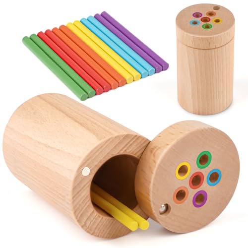 Vanplay Kleinkind-Spielzeug Montessori-Spielzeug für 1 2 3 Jahre alt, Farbe Matching Feinmotorik Spielzeug für Kleinkinder 1-3, Sensorik Spielzeug, Holz Lernspielzeug für 1 Jahr alt von Vanplay