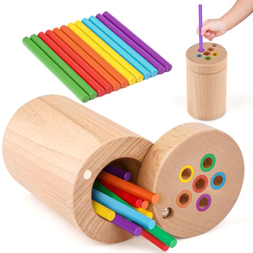 Vanplay Kleinkind-Spielzeug Montessori-Spielzeug für 1 2 3 Jahre alt, Farbe Matching Feinmotorik Spielzeug für Kleinkinder 1-3, Sensorik Spielzeug, Holz Lernspielzeug für 1 Jahr alt von Vanplay