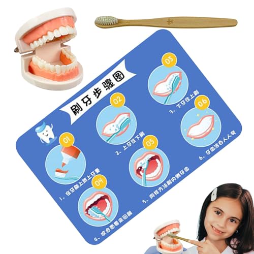 Teeth Brushing Toy, Educational Brushing Teeth Model, Interactive Early Education Dentals Pretend Set, 11.22x7.68 Inches Toothbrush for Teaching Kids, Abs Teeth Brushing Toy, Educational Brushing Teeth Model, Interactive Early Education Dentals Pretend Set, 11.22x7.68 Inches Toothbrush for Teaching Kids, Abs von Veasbuu