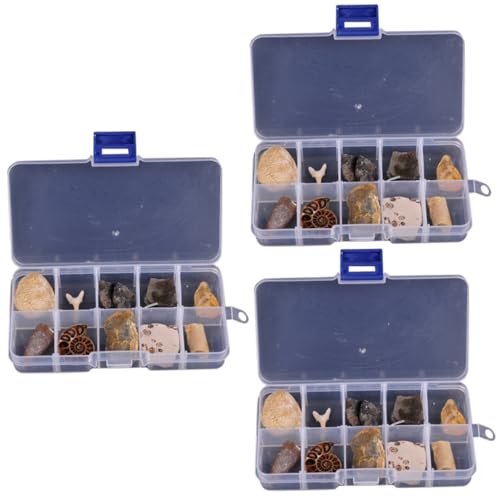Veemoon 10-teiliges Paläontologie Fossilien Set - Enthält Haifischzahn Ammoniten Trilobiten Und Orthoceras Ideal Für Sammler Und Bildungszwecke Naturwissenschaften Entdecken Veemoon 10-teiliges Paläontologie Fossilien Set - Enthält Haifischzahn Ammoniten Trilobiten Und Orthoceras Ideal Für Sammler Und Bildungszwecke Naturwissenschaften Entdecken von Veemoon