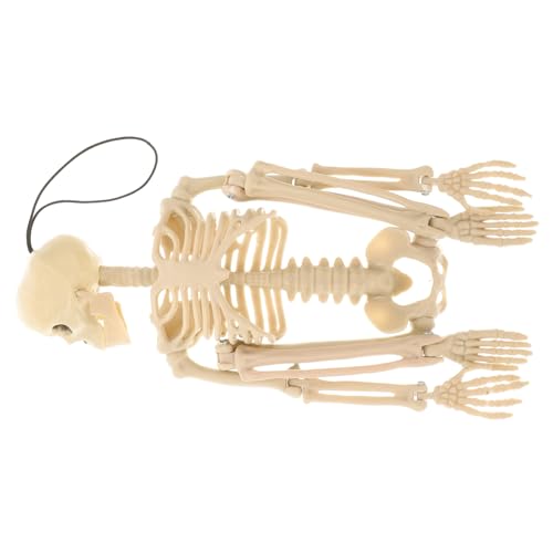 Veemoon 1Stück Lustiges Skelett Modell Dekoratives Halloween Handwerk Für Kreative Szenenverzierungen Deko Für Gruselfeste Halloween Partys Veemoon 1Stück Lustiges Skelett Modell Dekoratives Halloween Handwerk Für Kreative Szenenverzierungen Deko Für Gruselfeste Halloween Partys von Veemoon