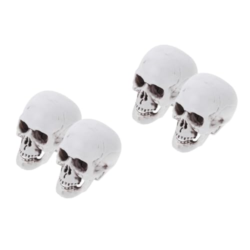 Veemoon 2 Stücke Realistische Menschliche Schädel Modelle Aus Kunststoff – Lebensgroße Skelettfiguren Als Dekoration Für Halloween-Partys Und Gruselhäuser - Ideal Für Kreative Und Schaurige Veemoon 2 Stücke Realistische Menschliche Schädel Modelle Aus Kunststoff – Lebensgroße Skelettfiguren Als Dekoration Für Halloween-Partys Und Gruselhäuser - Ideal Für Kreative Und Schaurige von Veemoon