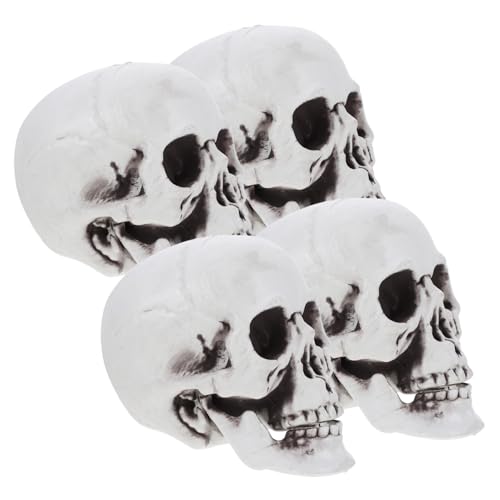 Veemoon 4 Stücke Realistische Menschliche Schädel Modelle Aus Kunststoff – Detailreiche Skelettfiguren Für Halloween Dekoration - Party Und Grusel-Events – Perfekt Für Kreative Deko Ideen Veemoon 4 Stücke Realistische Menschliche Schädel Modelle Aus Kunststoff – Detailreiche Skelettfiguren Für Halloween Dekoration - Party Und Grusel-Events – Perfekt Für Kreative Deko Ideen von Veemoon