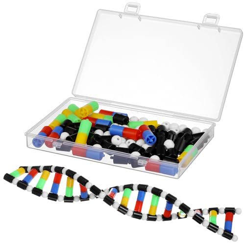 Veemoon DNA-Modell Wissenschaftliches DNA-Doppelhelix-Modell Pädagogischer DNA-Modellbausatz Für Schüler Lehrinstrumentenanzeige von Veemoon