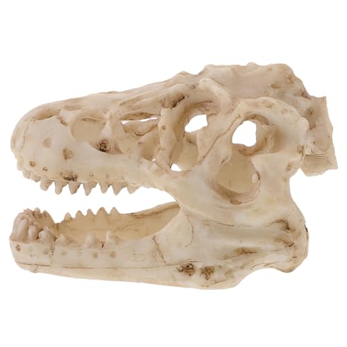 Veemoon Dinosaurier Schädel Modell Aus Realistisches Tierskelett Zur Heimdekoration Simulierter Dinosaurier Schädel Für Aquarien Terrarien Kleiner Tyrannosaurus Schädel von Veemoon