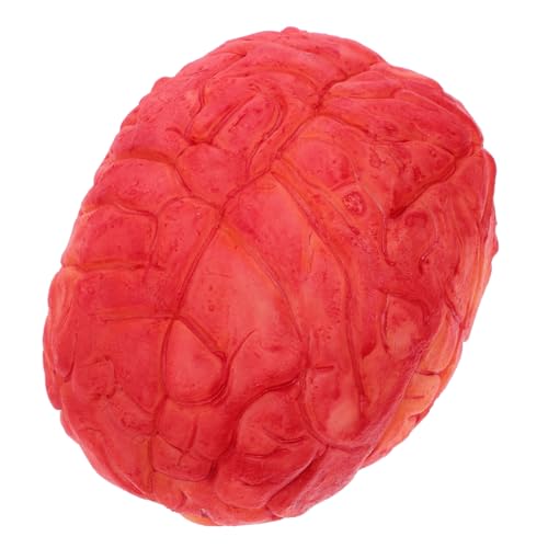 Veemoon Echtes Halloween-Feeling Mit Unserem Gruseligen Fake Gehirn Requisit Perfekt Für Schaurige Zombie-Partys Spukhaus Dekorationen Und Horrorszenarien Dunkelrote Farbe Veemoon Echtes Halloween-Feeling Mit Unserem Gruseligen Fake Gehirn Requisit Perfekt Für Schaurige Zombie-Partys Spukhaus Dekorationen Und Horrorszenarien Dunkelrote Farbe von Veemoon