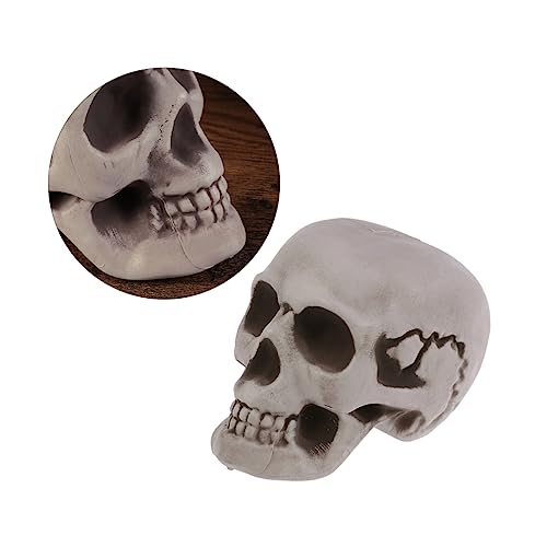 Veemoon Lebensgroßer Skelett Schädel Aus Kunststoff – Realistisches Halloween Deko Modell Für Gruselige Feiern Und Schaurige Atmosphären - Ideal Für Halloween Dekoration Und Partys von Veemoon