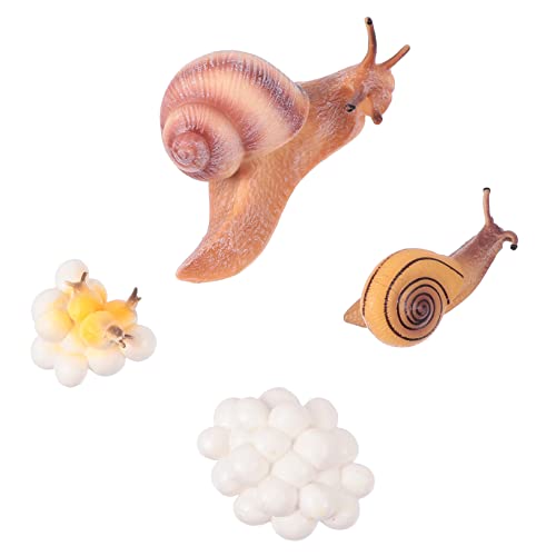 Veemoon Lebenszyklus Schnecke Figur Set Für – Pädagogisches Lernspielzeug Zur Darstellung des Schneckenzyklus – Ideal Als Gartenfigur Oder Tischdeko Für Biologie-Interessierte von Veemoon