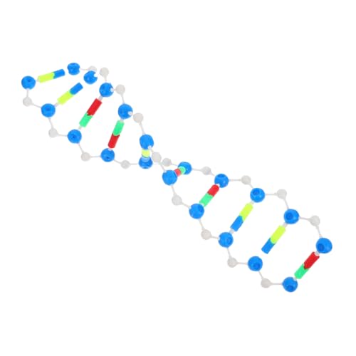 Veemoon Praktischer Naturwissenschaftlicher Unterricht, DNA-Modell, Doppelstrangmodell Für Genstruktur Und -Variation Für Biologische Experimente von Veemoon
