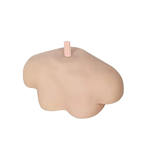 Veemoon Übungskopf Mit Schulterhalterung Für Friseure - Silikon PVC Trainingsmodell Für Haarstyling - Make Up Und Kosmetik Ideale Schaufensterpuppe Für Friseursalons 1 Stück von Veemoon
