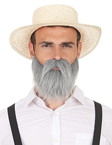 DEGUISE TOI Grauer Schnurrbart und Bart für Erwachsene - Grau, Silber von Vegaoo