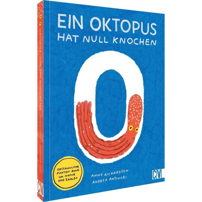 Ein Oktopus hat null Knochen von Velber Buchverlag