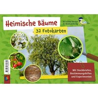 Heimische Bäume – 32 Fotokarten von Verlag an der Ruhr
