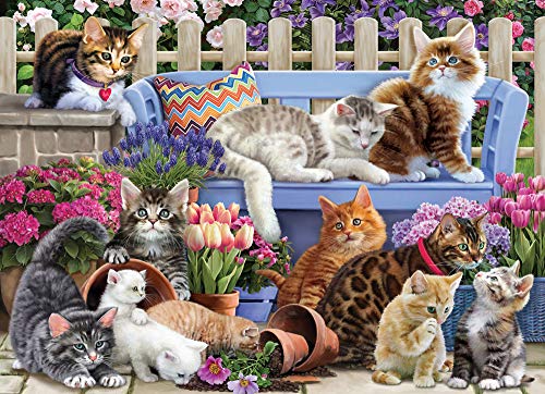 Vermont Christmas Company A Cat's Life Puzzle 1000 Teile von Vermont Christmas Company