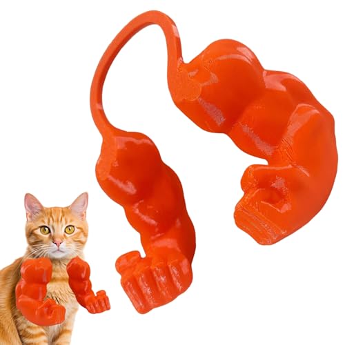 Lustige Katze mit muskulösen Armen, realistische menschliche Arme für Katze, kreative Dekoration Requisiten, interaktives Spielzeug, lustiges Geschenk für Kätzchen-Foto, für den täglichen Gebrauch zu Lustige Katze mit muskulösen Armen, realistische menschliche Arme für Katze, kreative Dekoration Requisiten, interaktives Spielzeug, lustiges Geschenk für Kätzchen-Foto, für den täglichen Gebrauch zu von Vesidoloy