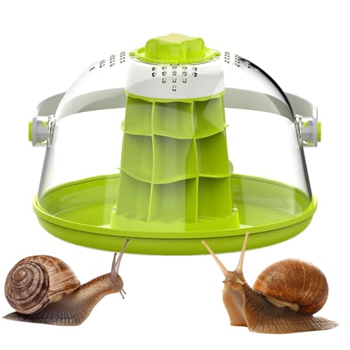 Transparentes Mini-Haus mit Löchern - Spinnen-Zuchtbox – Eidechsen-Zwingerkäfig, Zuchtbecken für Kleintiere, Schildkröten, Seidenraupen und Reptilien von Vibhgtf