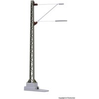 VIESSMANN 4209 TT Streckenmast, 10 Stück - ersetzt 42103 VIESSMANN 4209 TT Streckenmast, 10 Stück - ersetzt 42103 von Viessmann