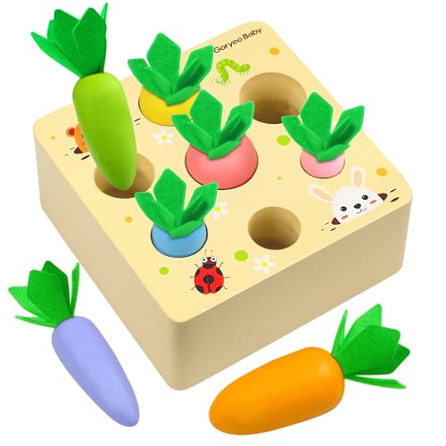 Holzspielzeug ab 1 Jahr, Montessori Spielzeug 2 3 Jahre, Sortierspiel Holzpuzzle Karottenernte für 12 Monate, Motorikspielzeug fördert Feinmotorik Baby ab 1, Lernspielzeug Geschenke für Kinder [Bunt] von VingaHouse