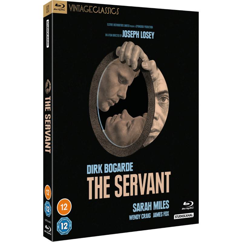 The Servant (Vintage Classics) von Vintage Classics