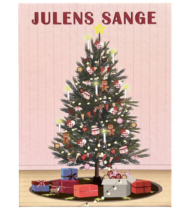 Vissevasse Liederbücher - Weihnachtslieder - Box m. 15 Liederbüc - Vissevasse - One Size - Bücher Vissevasse Liederbücher - Weihnachtslieder - Box m. 15 Liederbüc - Vissevasse - One Size - Bücher von Vissevasse