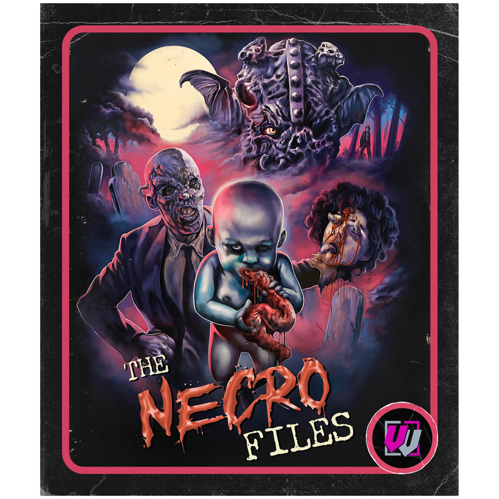 The Necro Files: Collector's Edition (US Import) von Visual Vengeance