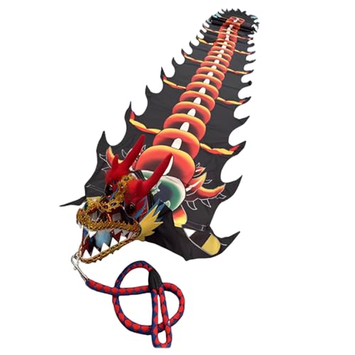 Vnook 8m Drachentanzband Drachen-Poi Mit 3D-Drachenkopf Und Schaukelseil, Tragbarer Kunst-Streamer,Outdoor-Fitness-Bühnen-Requisiten-Set für Fitness, Jonglieren(Black) von Vnook