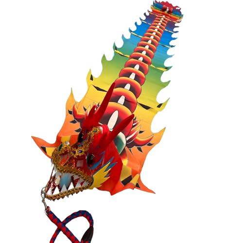 Vnook 8m Drachentanzband Drachen-Poi Mit 3D-Drachenkopf Und Schaukelseil, Tragbarer Kunst-Streamer,Outdoor-Fitness-Bühnen-Requisiten-Set für Fitness, Jonglieren(Multi-Colored) von Vnook