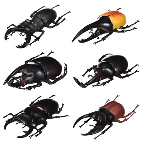 Vocoliday 6 Stück Halloween-Käfer-Modell, realistische Käfer-Figuren, künstliches Käfer-Modell für Halloween, Weihnachten, Geburtstag, Aprilscherz, Party Vocoliday 6 Stück Halloween-Käfer-Modell, realistische Käfer-Figuren, künstliches Käfer-Modell für Halloween, Weihnachten, Geburtstag, Aprilscherz, Party von Vocoliday