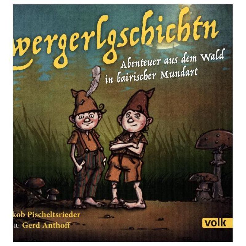Zwergerlgschichtn,1 Audio-CD von Volk Verlag