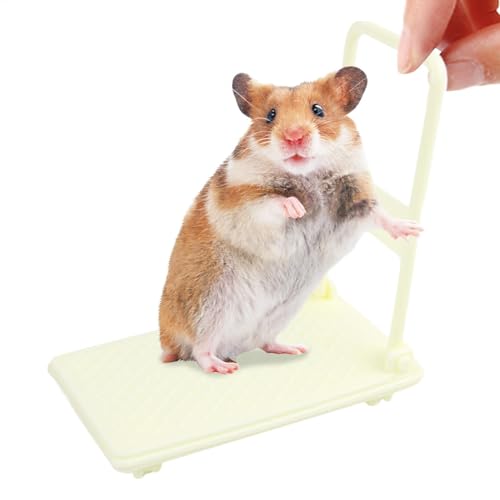 Hamsterwagen Spielzeug, Kleintierspielzeug, Hamster Anreicherung Spielzeug, Foto Requisiten Hamster Käfig Zubehör, Kleiner Wagen Chinchilla Bett Haustier Spielzeug, Hamster Wagen Spielzeug, Kleintiere von Vriusi