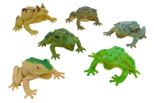 W'TOY Realistische Frösche 6 Stück im Umschlag Welt der Frösche - Globus Spielzeug - 41305 W'TOY Realistische Frösche 6 Stück im Umschlag Welt der Frösche - Globus Spielzeug - 41305 von W'TOY