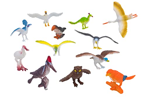 W'TOY Realistische sortierte Vögel 12 Stück im Umschlag Welt der Vögel - Globus Spielzeug - 41309 W'TOY Realistische sortierte Vögel 12 Stück im Umschlag Welt der Vögel - Globus Spielzeug - 41309 von W'TOY