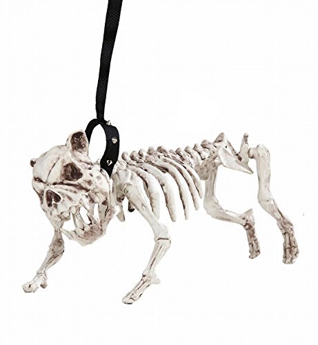 W WIDMANN MILANO Party Fashion 01373 - Skelett Hund mit Leine, 45 cm, Partydekoration, Halloween, Karneval, Mottoparty W WIDMANN MILANO Party Fashion 01373 - Skelett Hund mit Leine, 45 cm, Partydekoration, Halloween, Karneval, Mottoparty von W WIDMANN MILANO Party Fashion