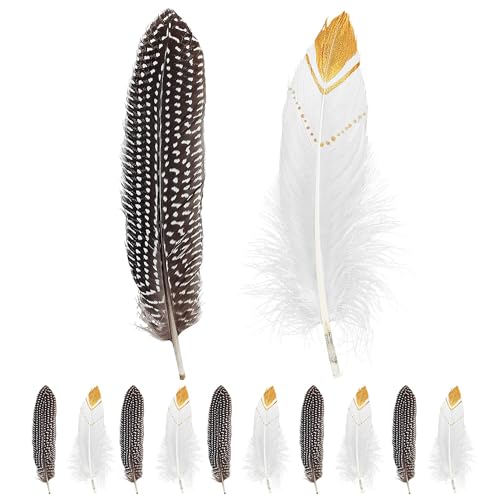 W WIDMANN MILANO Party Fashion 33034 - Indianderfedern Set, Accessoire, Dekoration, für Traumfänger, Federkette, Haarschmuck, Karneval, Mottoparty W WIDMANN MILANO Party Fashion 33034 - Indianderfedern Set, Accessoire, Dekoration, für Traumfänger, Federkette, Haarschmuck, Karneval, Mottoparty von W WIDMANN MILANO Party Fashion