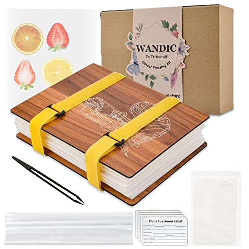 WANDIC Blumenpresse-Kit, Frauen-Holzkunst-Set, Pflanzen-Press-Buch, Blumenpresse, Blätterpresse, Kit für DIY Kunsthandwerk Exemplare Outdoor Lernen WANDIC Blumenpresse-Kit, Frauen-Holzkunst-Set, Pflanzen-Press-Buch, Blumenpresse, Blätterpresse, Kit für DIY Kunsthandwerk Exemplare Outdoor Lernen von WANDIC