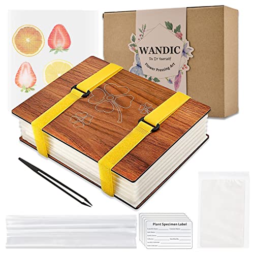 WANDIC Vierblättriges Kleeblatt-Blumenpresse-Set, Holzkunst-Set, Pflanzenpresse, Buch, Blume, Obstpresse, Kit für DIY Kunsthandwerk, Exemplare im Freien Lernen WANDIC Vierblättriges Kleeblatt-Blumenpresse-Set, Holzkunst-Set, Pflanzenpresse, Buch, Blume, Obstpresse, Kit für DIY Kunsthandwerk, Exemplare im Freien Lernen von WANDIC