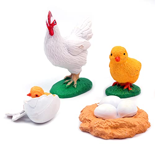 WANGCL Chick Life Cycle, hochsimulierender Tierlebenszyklus 4-teiliges Tierlernmodell Lernspielzeug für Kleinkinder WANGCL Chick Life Cycle, hochsimulierender Tierlebenszyklus 4-teiliges Tierlernmodell Lernspielzeug für Kleinkinder von WANGCL