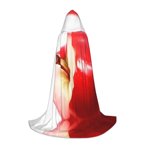 Granatapfel L bedruckter Halloween-Zauberer-Umhang, Motto-Party-Kostüm, Erwachsene/Jugend-Cosplay-Umhang, Größen S, M, L Granatapfel L bedruckter Halloween-Zauberer-Umhang, Motto-Party-Kostüm, Erwachsene/Jugend-Cosplay-Umhang, Größen S, M, L von WBQLSL