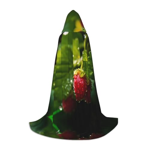 Himbeeren S bedruckter Halloween-Zauberer-Umhang, Motto-Party-Kostüm, Erwachsene/Jugend-Cosplay-Umhang, Größen S, M, L Himbeeren S bedruckter Halloween-Zauberer-Umhang, Motto-Party-Kostüm, Erwachsene/Jugend-Cosplay-Umhang, Größen S, M, L von WBQLSL