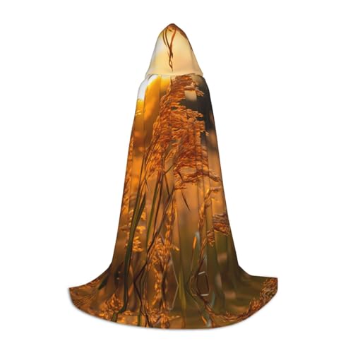 Oats L bedruckter Halloween-Zauberer-Umhang, Motto-Party-Kostüm, Erwachsene/Jugend-Cosplay-Umhang, Größen S, M, L Oats L bedruckter Halloween-Zauberer-Umhang, Motto-Party-Kostüm, Erwachsene/Jugend-Cosplay-Umhang, Größen S, M, L von WBQLSL