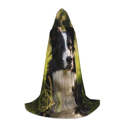 Pastoralist M bedruckter Halloween-Zauberer-Umhang, Motto-Party-Kostüm, Erwachsene/Jugend-Cosplay-Umhang, Größen S, M, L von WBQLSL