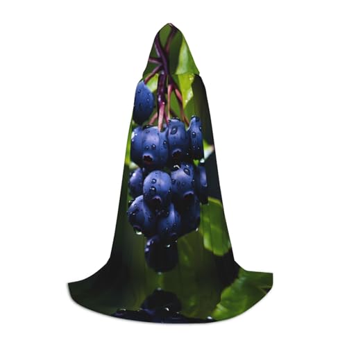 Plump Blueberries M bedruckter Halloween-Zauberer-Umhang, Motto-Party-Kostüm, Erwachsene/Jugend-Cosplay-Umhang, Größen S, M, L Plump Blueberries M bedruckter Halloween-Zauberer-Umhang, Motto-Party-Kostüm, Erwachsene/Jugend-Cosplay-Umhang, Größen S, M, L von WBQLSL