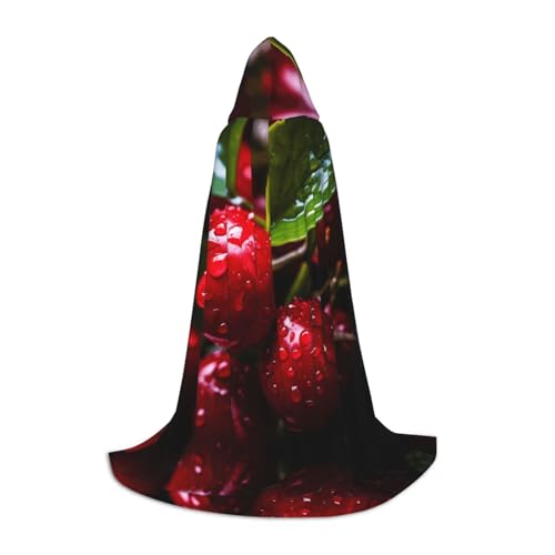 Post-Harvest Fruit L bedruckter Halloween-Zauberer-Umhang, Motto-Party-Kostüm, Erwachsene/Jugend-Cosplay-Umhang, Größen S, M, L Post-Harvest Fruit L bedruckter Halloween-Zauberer-Umhang, Motto-Party-Kostüm, Erwachsene/Jugend-Cosplay-Umhang, Größen S, M, L von WBQLSL