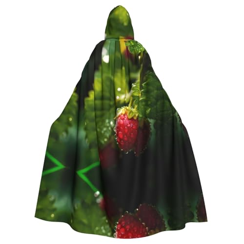 WBQLSL Himbeeren bedruckter Umhang – Maskenumhang mit Kapuze von WBQLSL
