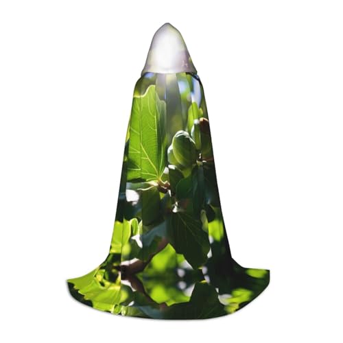 fig M bedruckter Halloween-Zauberer-Umhang, Motto-Party-Kostüm, Erwachsene/Jugend-Cosplay-Umhang, Größen S, M, L fig M bedruckter Halloween-Zauberer-Umhang, Motto-Party-Kostüm, Erwachsene/Jugend-Cosplay-Umhang, Größen S, M, L von WBQLSL