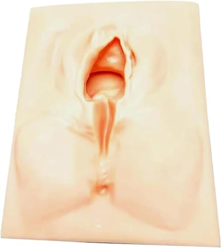Naht-Übungsmodell For Medizinstudenten, Vulva-Perineal-Naht-Übungsset, Episiotomie-Simulator For Krankenschwestern, Reißfestes, Weiches Material, Wiederverwendbarer Naht-Simulator Naht-Übungsmodell For Medizinstudenten, Vulva-Perineal-Naht-Übungsset, Episiotomie-Simulator For Krankenschwestern, Reißfestes, Weiches Material, Wiederverwendbarer Naht-Simulator von WBRSybUK